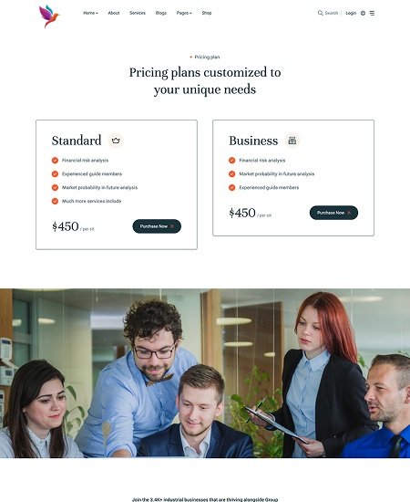 Pricing Plan
