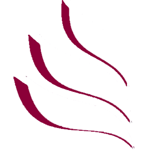 Zenda Software Logo